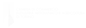 logo camera di commercio torino memissima festival